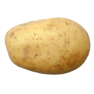 Sorry bud, no special image for today avatar